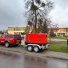  (link otworzy duże zdjęcie)