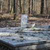  (link otworzy duże zdjęcie)