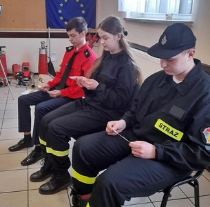  (link otworzy duże zdjęcie)