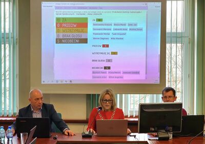  (link otworzy duże zdjęcie)