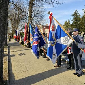  (link otworzy duże zdjęcie)