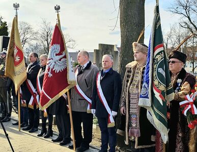  (link otworzy duże zdjęcie)