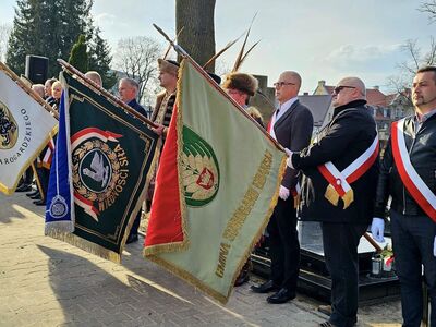  (link otworzy duże zdjęcie)