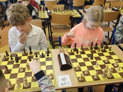  (link otworzy duże zdjęcie)