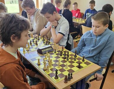  (link otworzy duże zdjęcie)