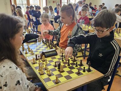  (link otworzy duże zdjęcie)