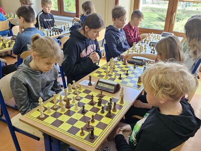  (link otworzy duże zdjęcie)