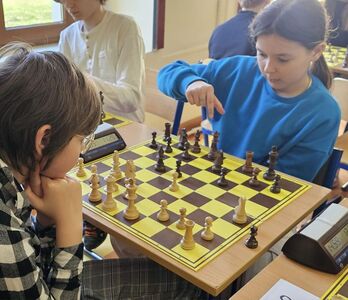  (link otworzy duże zdjęcie)