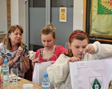  (link otworzy duże zdjęcie)