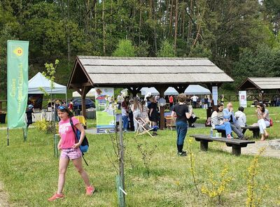  (link otworzy duże zdjęcie)