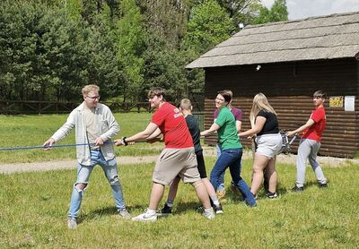  (link otworzy duże zdjęcie)