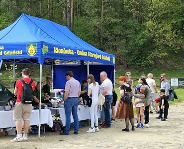  (link otworzy duże zdjęcie)