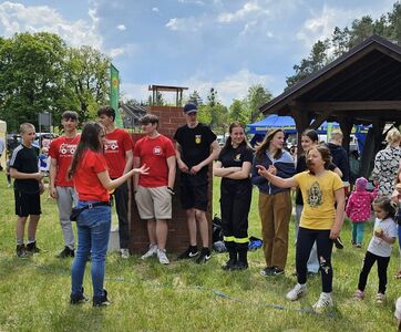  (link otworzy duże zdjęcie)