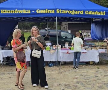  (link otworzy duże zdjęcie)