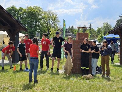  (link otworzy duże zdjęcie)