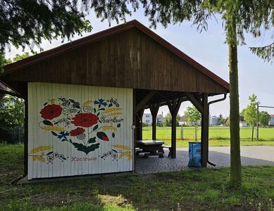  (link otworzy duże zdjęcie)