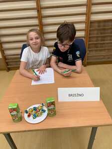  (link otworzy duże zdjęcie)