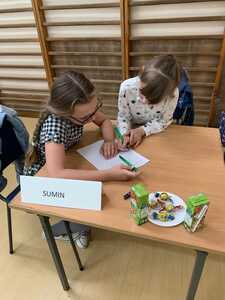  (link otworzy duże zdjęcie)