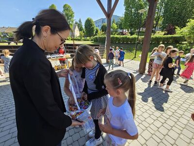  (link otworzy duże zdjęcie)