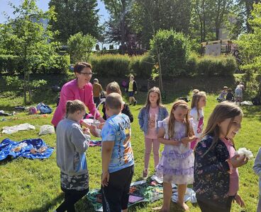  (link otworzy duże zdjęcie)