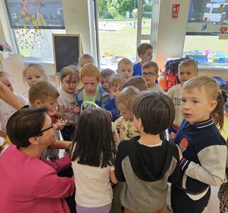  (link otworzy duże zdjęcie)