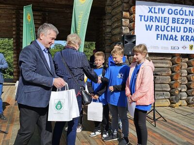  (link otworzy duże zdjęcie)