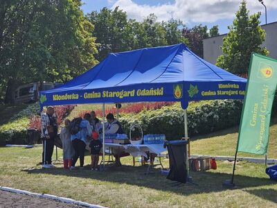  (link otworzy duże zdjęcie)