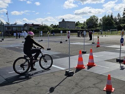  (link otworzy duże zdjęcie)