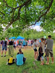  (link otworzy duże zdjęcie)