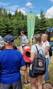  (link otworzy duże zdjęcie)