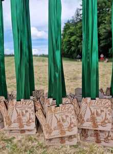  (link otworzy duże zdjęcie)