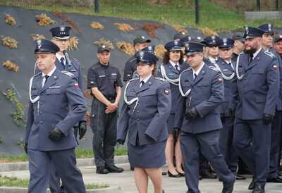  (link otworzy duże zdjęcie)