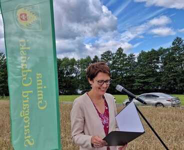  (link otworzy duże zdjęcie)