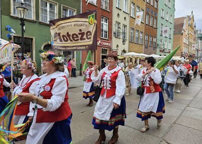  (link otworzy duże zdjęcie)