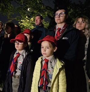  (link otworzy duże zdjęcie)