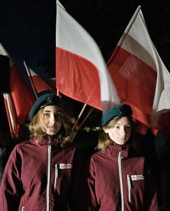  (link otworzy duże zdjęcie)