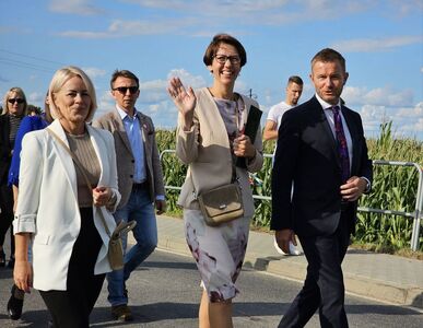  (link otworzy duże zdjęcie)