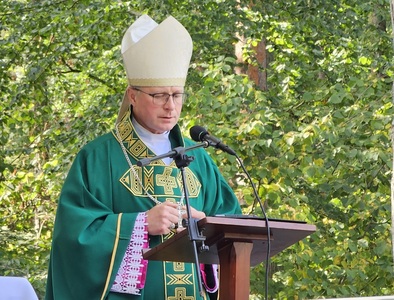  (link otworzy duże zdjęcie)