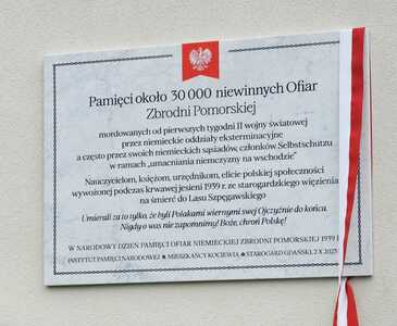  (link otworzy duże zdjęcie)