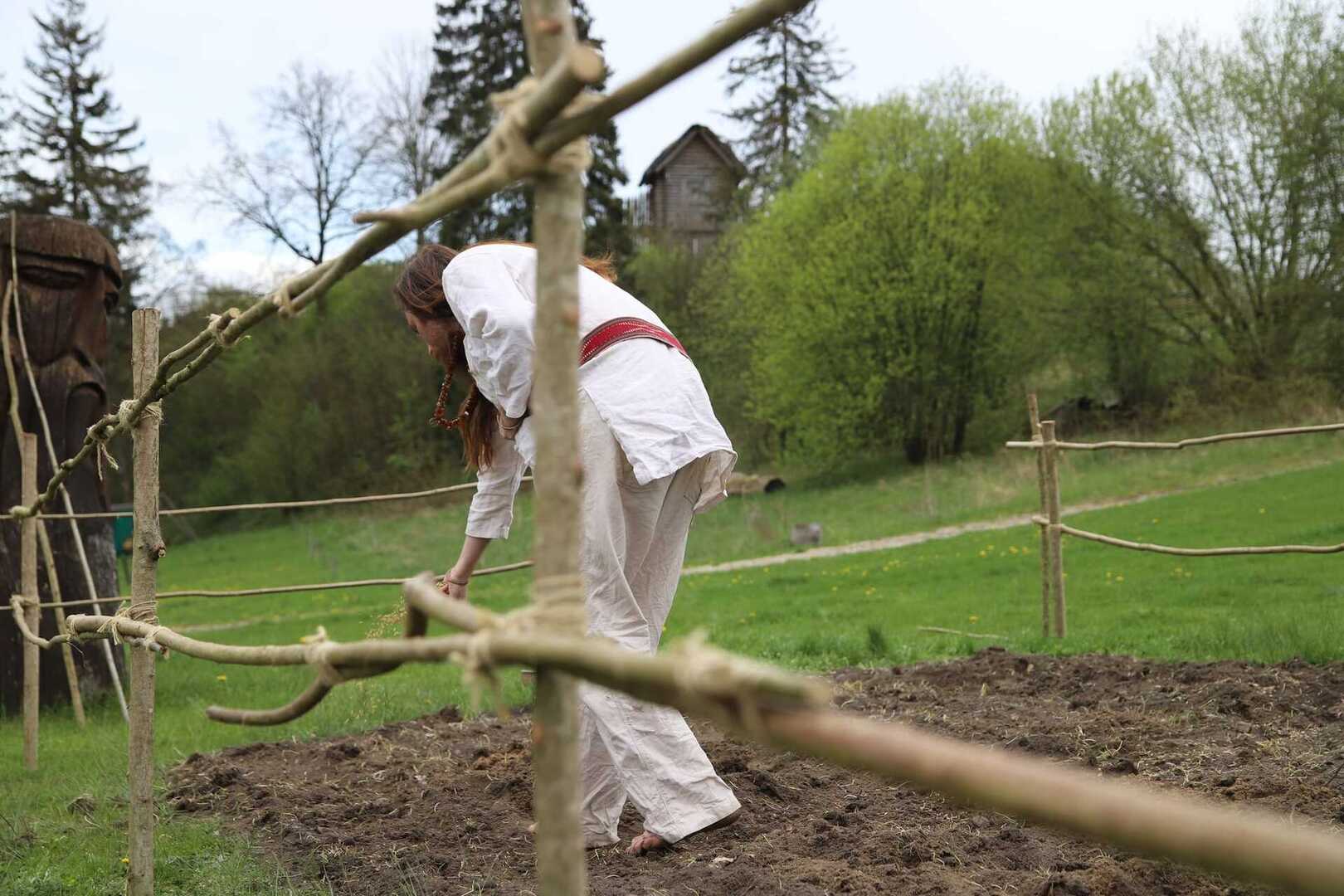 (link otworzy duże zdjęcie)