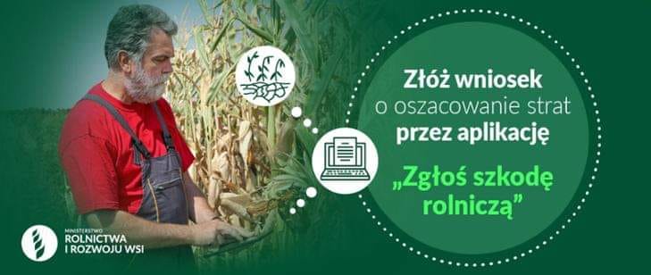 (link otworzy duże zdjęcie)