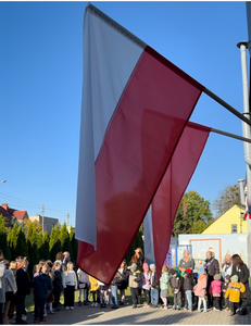  (link otworzy duże zdjęcie)