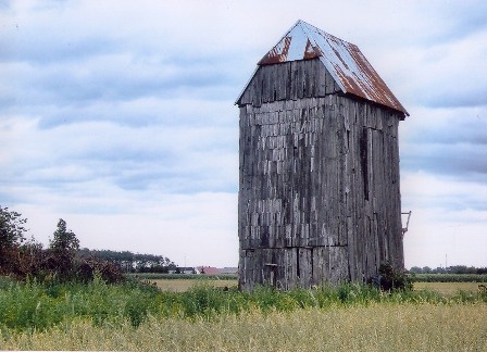 Wiatrak - koźlak w Sośniczce.