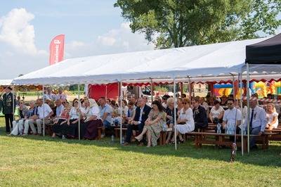  (link otworzy duże zdjęcie)