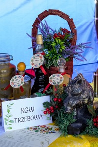  (link otworzy duże zdjęcie)