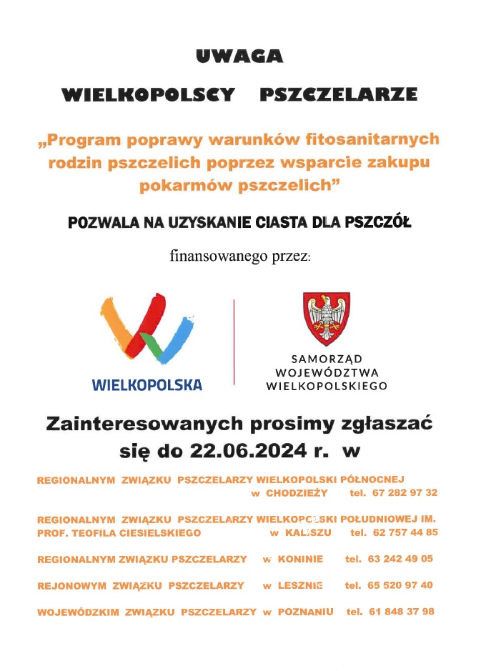 (link otworzy duże zdjęcie)