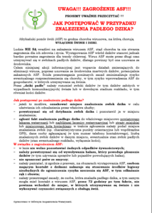  (link otworzy duże zdjęcie)