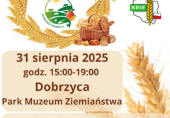DOŻYNKI POWIATOWE W DOBRZYCY – ŚWIĘTO PLONÓW I DOBREJ ZABAWY!