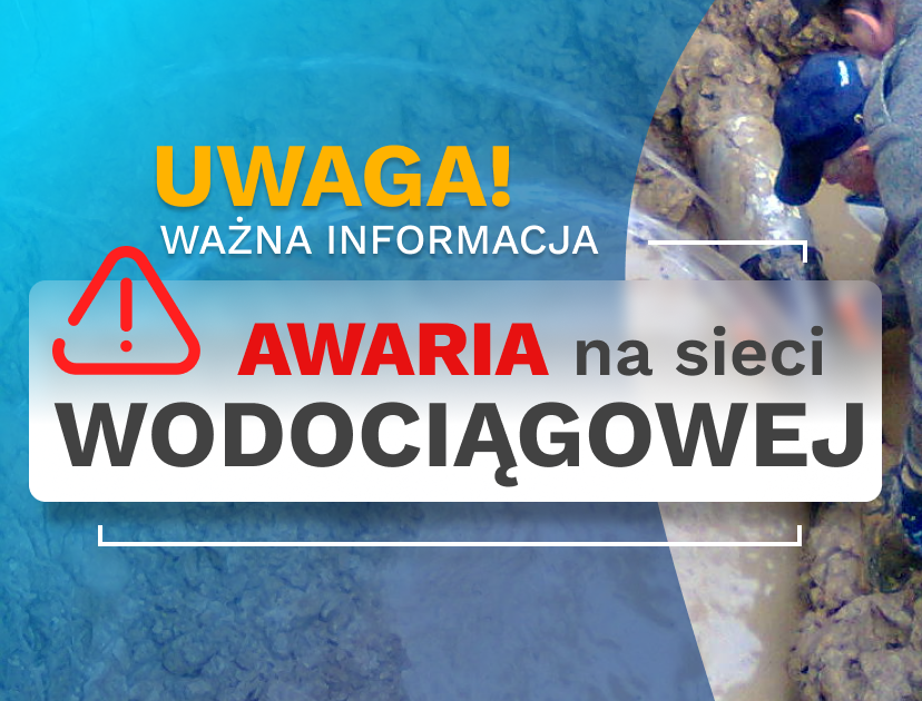 (link otworzy duże zdjęcie)