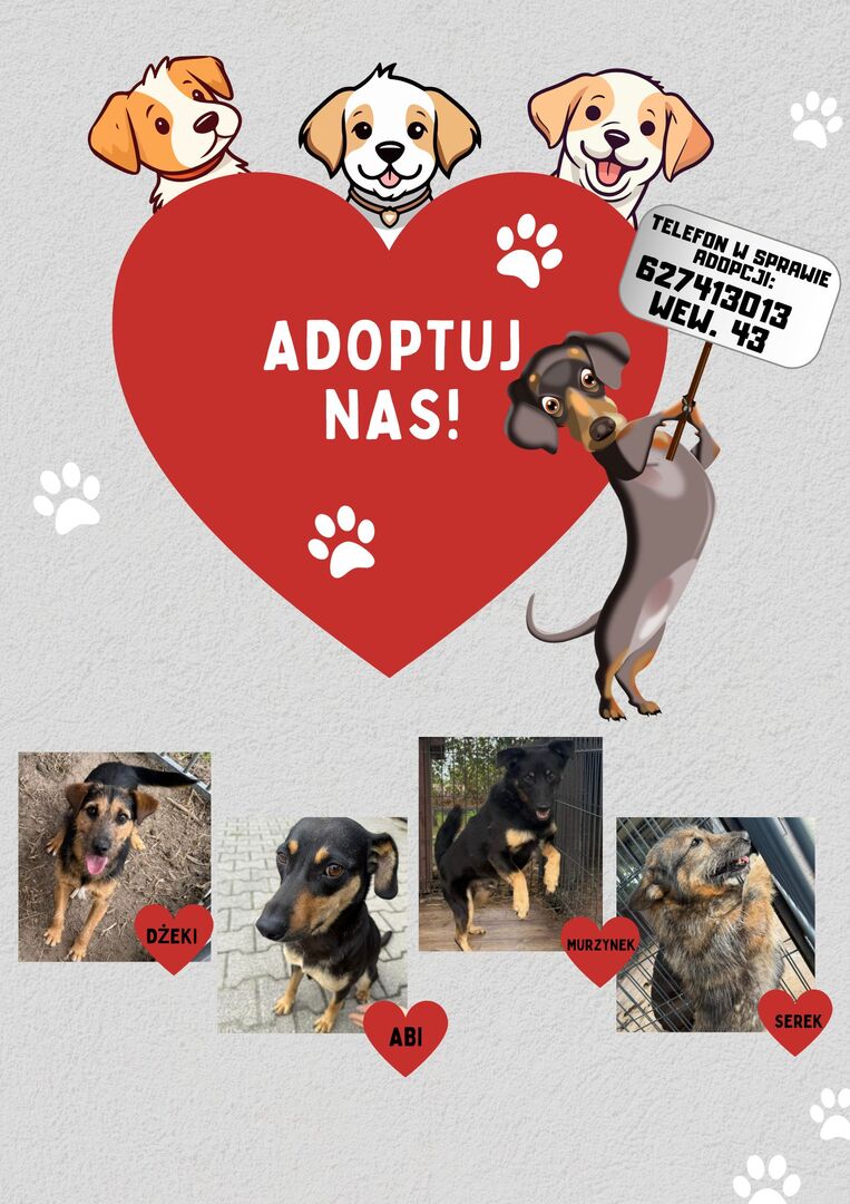  (link otworzy duże zdjęcie)